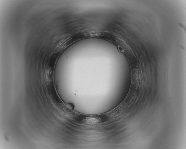 X0000098020218200804111306