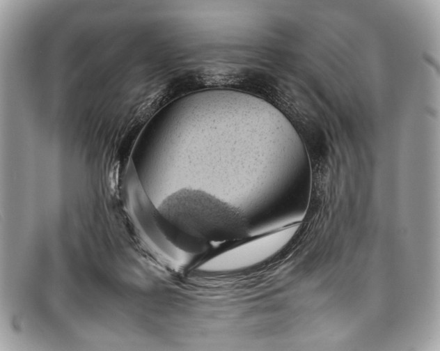 X0000098020219200804111306