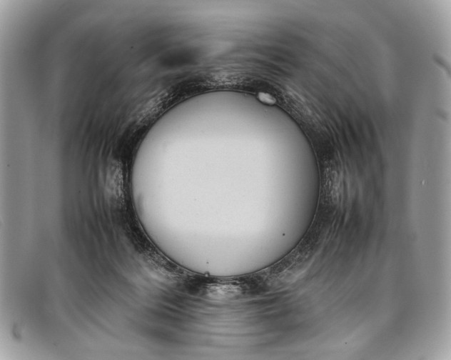 X0000098020220200804111306