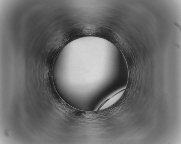 X0000098020221200804111306