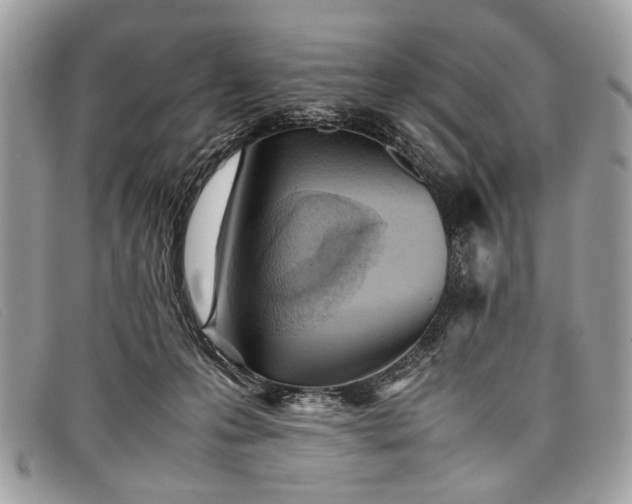 X0000098020223200804111306