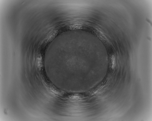 X0000098020224200804111306