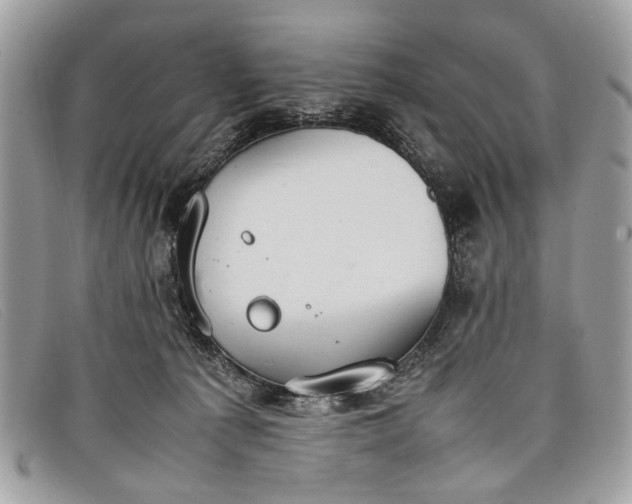 X0000098020225200804111306