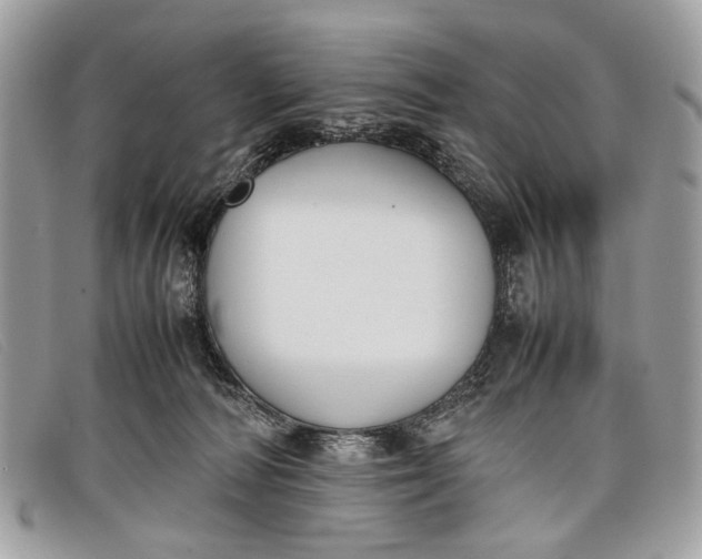 X0000098020226200804111306