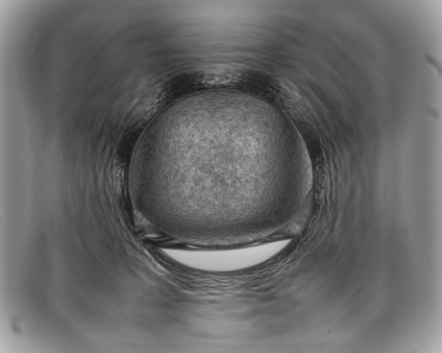 X0000098020227200804111306