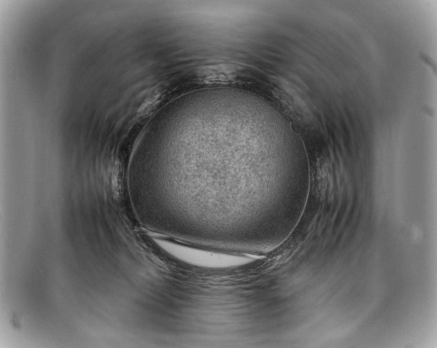 X0000098020228200804111306