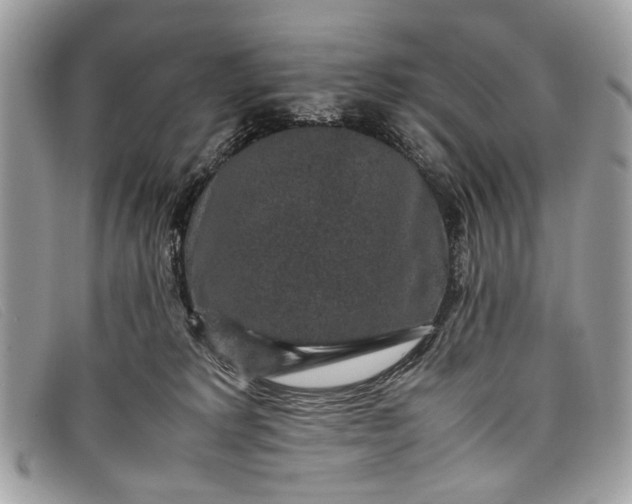 X0000098020229200804111306