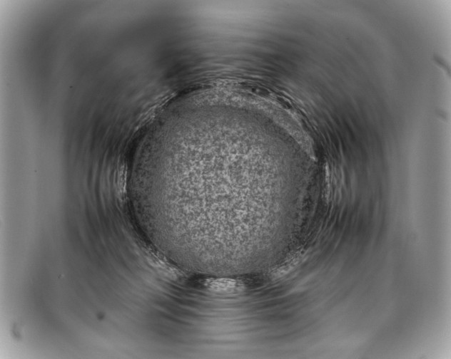 X0000098020230200804111306