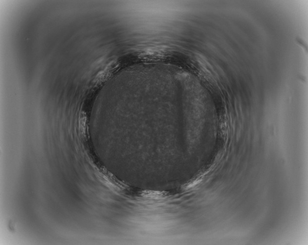 X0000098020231200804111306