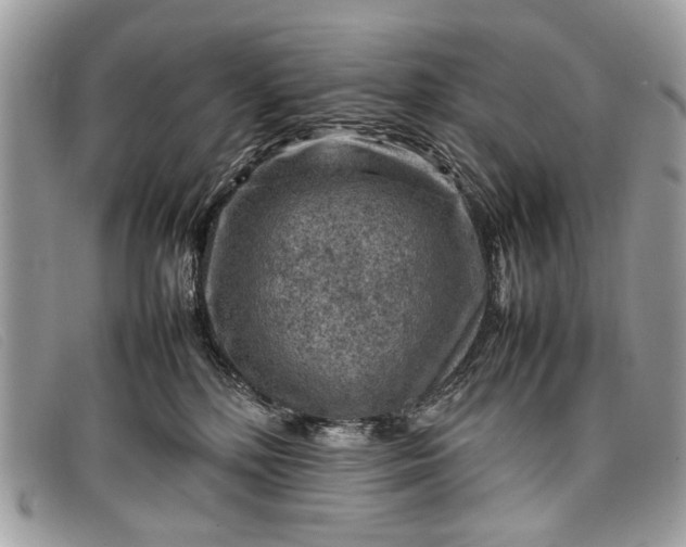 X0000098020232200804111306