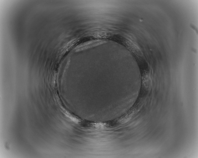 X0000098020233200804111306