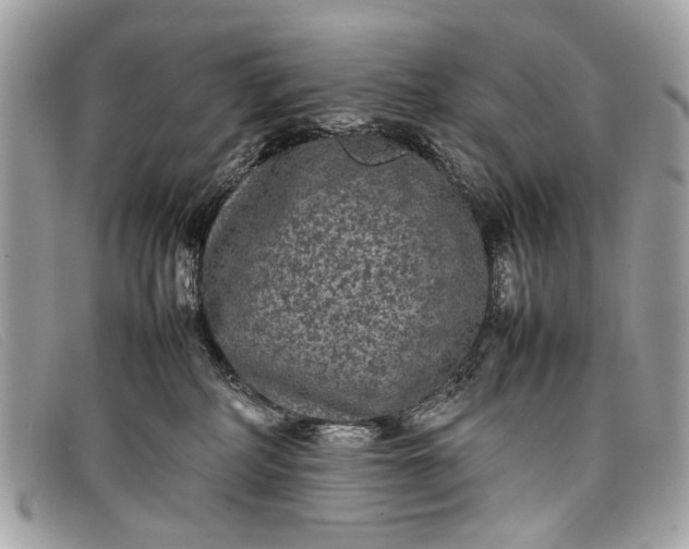 X0000098020234200804111306