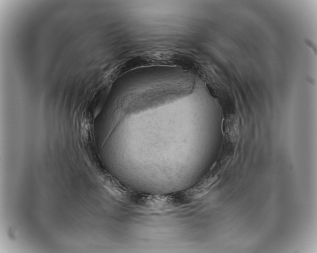 X0000098020235200804111306