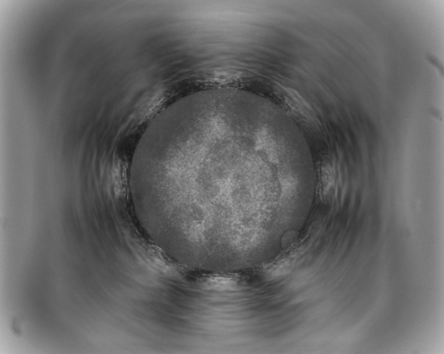 X0000098020236200804111306