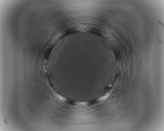 X0000098020237200804111306