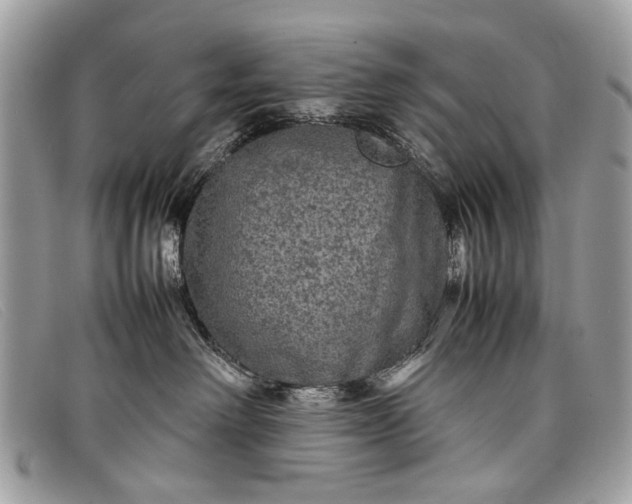 X0000098020238200804111306