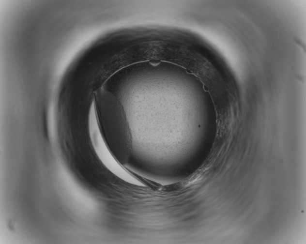 X0000098020239200804111305