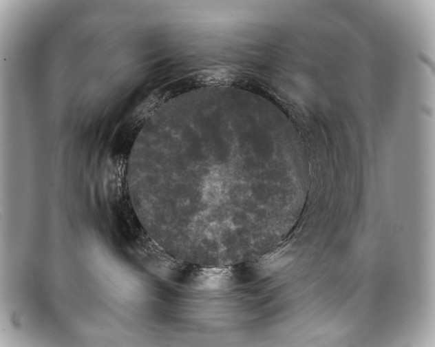 X0000098020240200804111305