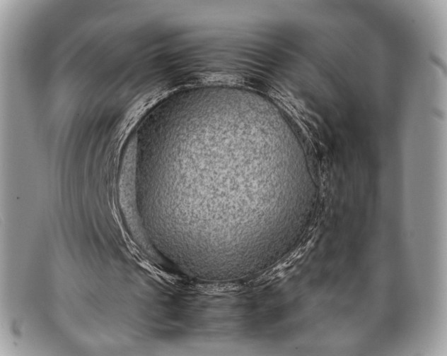 X0000098020241200804111305