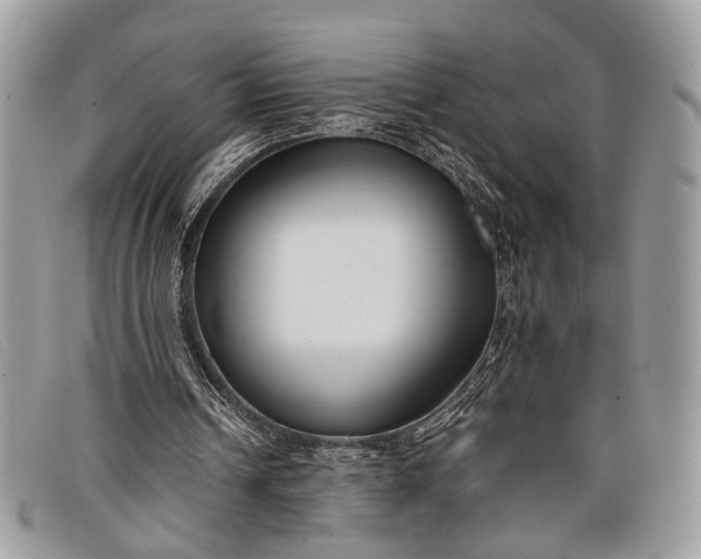 X0000098020242200804111305