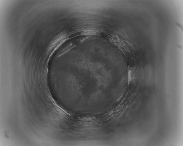 X0000098020243200804111305