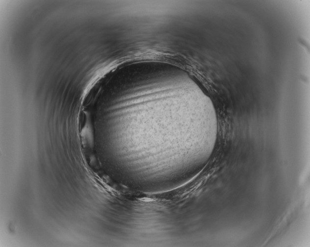 X0000098020244200804111305