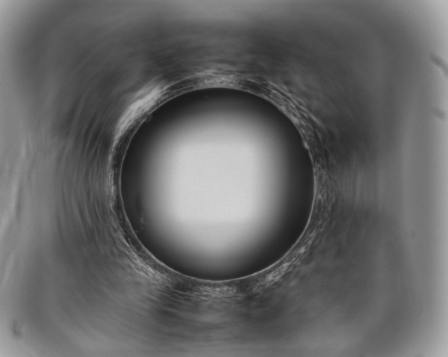 X0000098020245200804111305