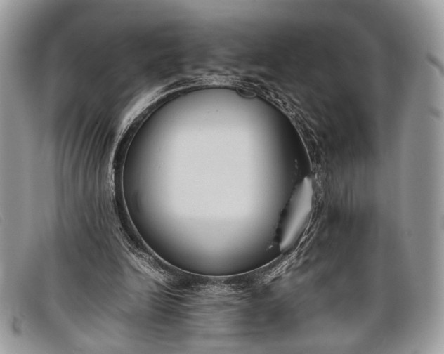 X0000098020246200804111305