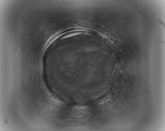 X0000098020247200804111305