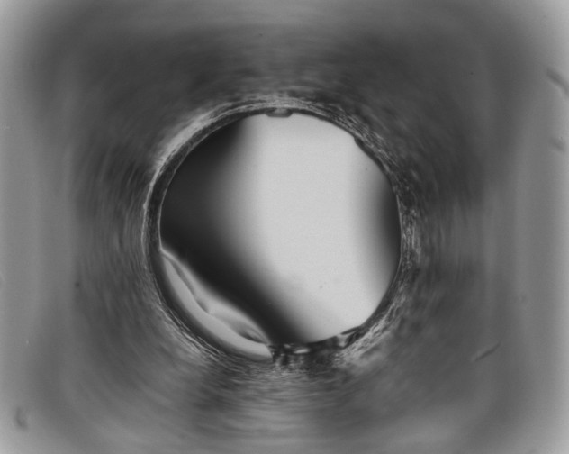 X0000098020248200804111305