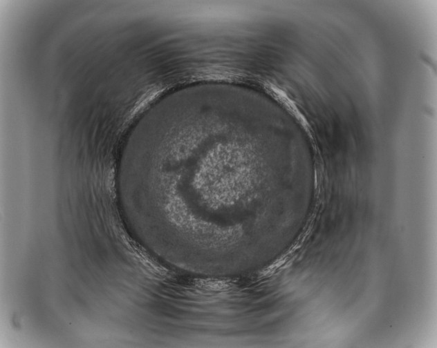 X0000098020249200804111305