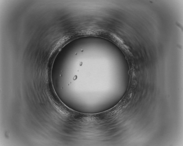 X0000098020250200804111305