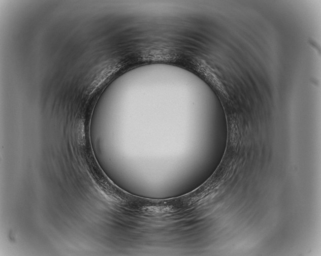 X0000098020251200804111305