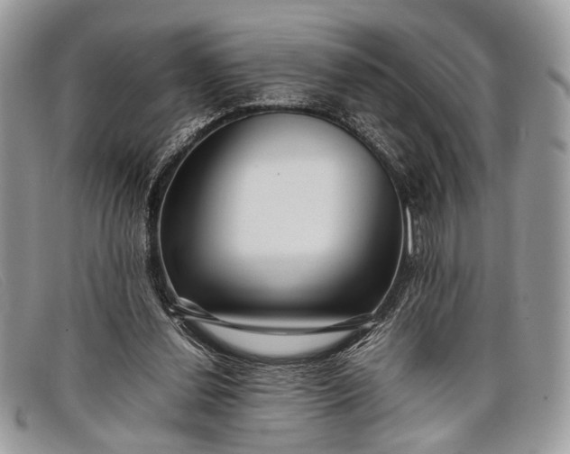 X0000098020252200804111305