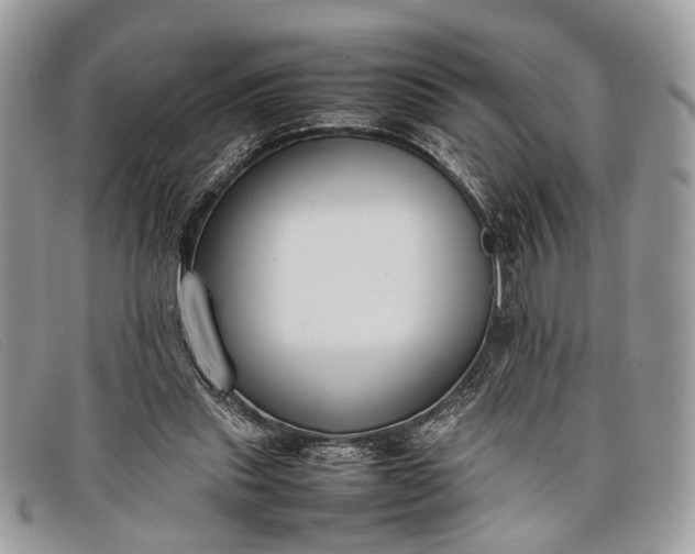 X0000098020253200804111305