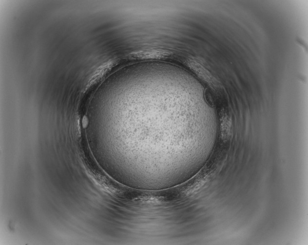 X0000098020254200804111305