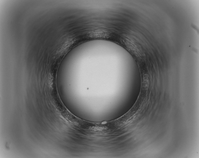 X0000098020255200804111305