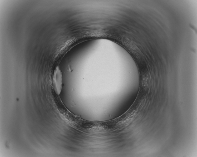 X0000098020256200804111305