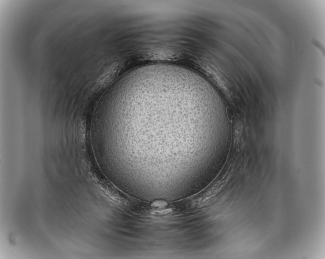 X0000098020257200804111305