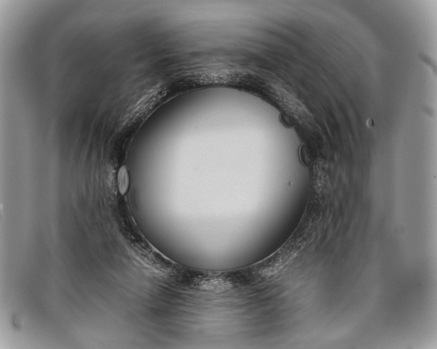 X0000098020258200804111305