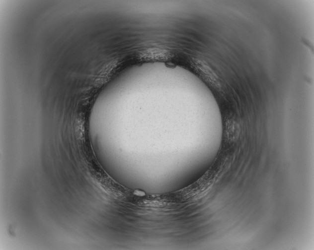 X0000098020259200804111305