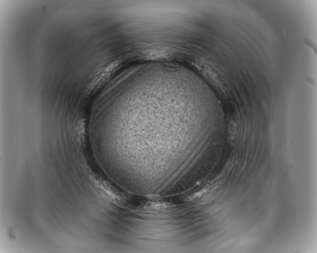 X0000098020260200804111305