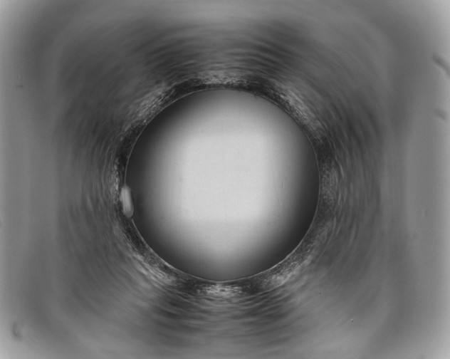 X0000098020261200804111305