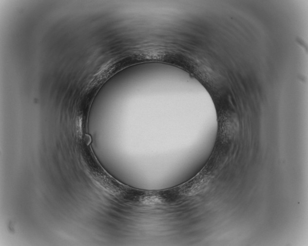 X0000098020262200804111305