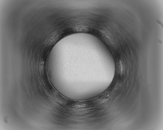 X0000098020263200804111305