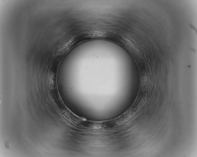 X0000098020264200804111305