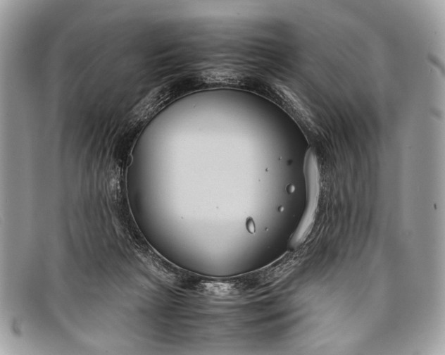 X0000098020265200804111305