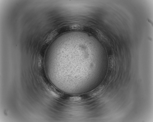 X0000098020266200804111305