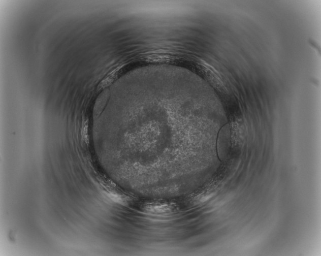 X0000098020267200804111305