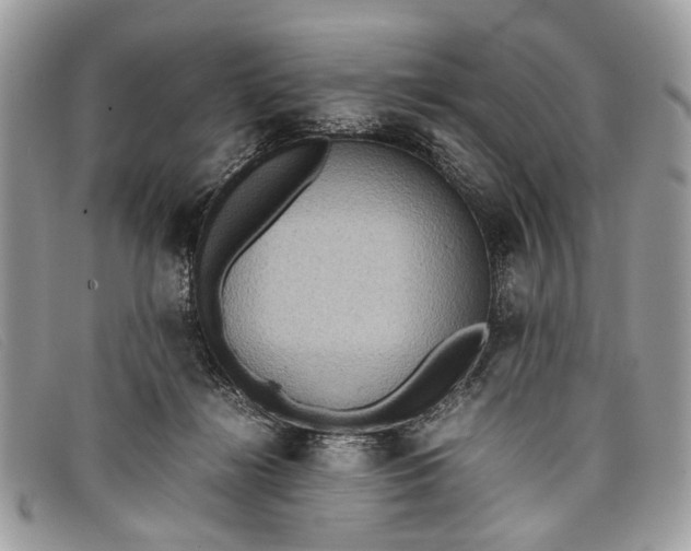 X0000098020268200804111305